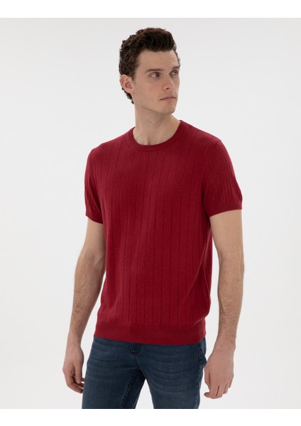 Erkek Nar Çiçeği Keten Karışımlı Regular Fit Bisiklet Yaka Triko Tişört 50305992-VR239