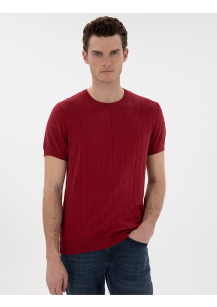 Erkek Nar Çiçeği Keten Karışımlı Regular Fit Bisiklet Yaka Triko Tişört 50305992-VR239 modelleri