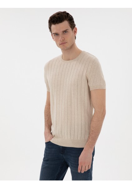 Erkek Bej Keten Karışımlı Regular Fit Bisiklet Yaka Triko Tişört 50305992-VR011