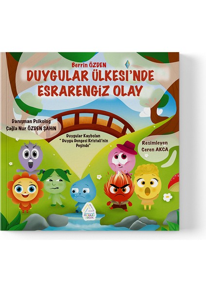 Berrin Özden - Duygular Ülkesin’de Esrarengiz Olay