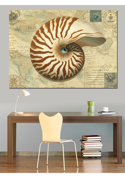Fosil Nautilus Kabuk Dekoratif Kanvas - Mdf Ahşap Tablo