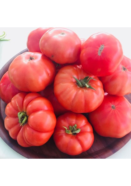 Sunagri Köy Domatesi Tohumu - Gerçek Köy Lezzeti Kalın Kabuklu Uzun Hasat Süreli fırsatları