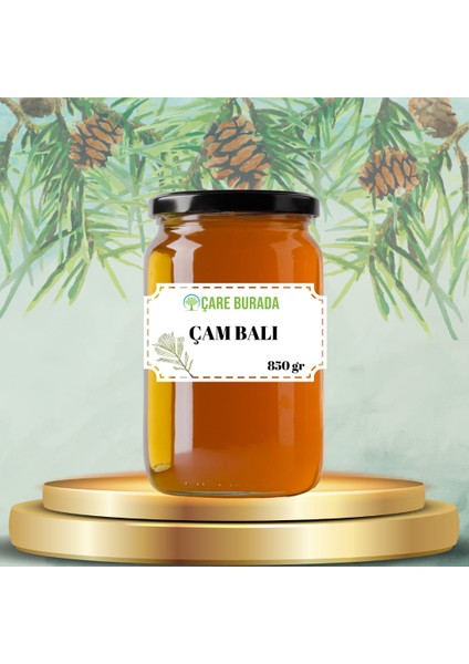Çam Balı Muğla Bölgesi 850 gr