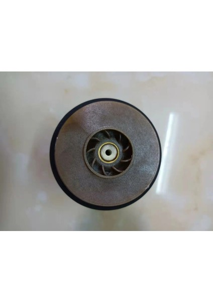 Su Sirkülasyon Pompası Motor Rotor Grundfos UPS15-50 UPS15-60 UPS15-70 Gaz Kazanı Yedek Parça Su Sirkülasyon Pompası Motor Rotor Su Ups 15-50 60 70 Için Bırakır modelleri