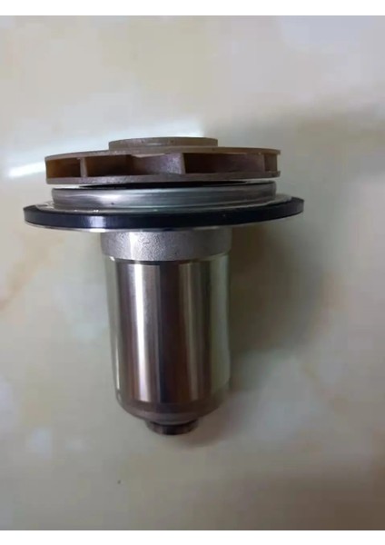 Su Sirkülasyon Pompası Motor Rotor Grundfos UPS15-50 UPS15-60 UPS15-70 Gaz Kazanı Yedek Parça Su Sirkülasyon Pompası Motor Rotor Su Ups 15-50 60 70 Için Bırakır indirimleri