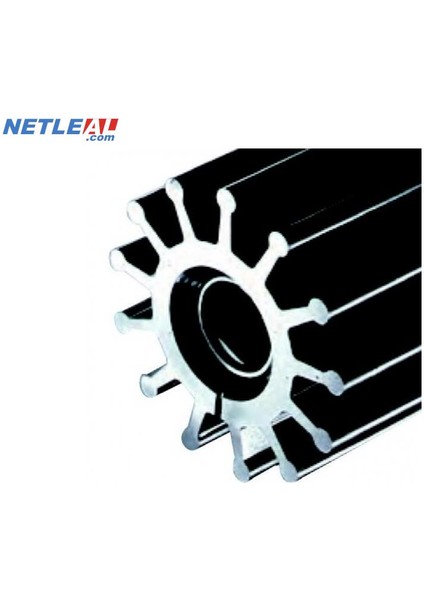 Impeller Lastiği 22405