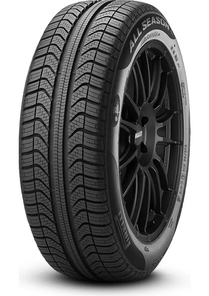 225/45R17 94 W Xl M+S Cınturato All Season Plus CB69 Db