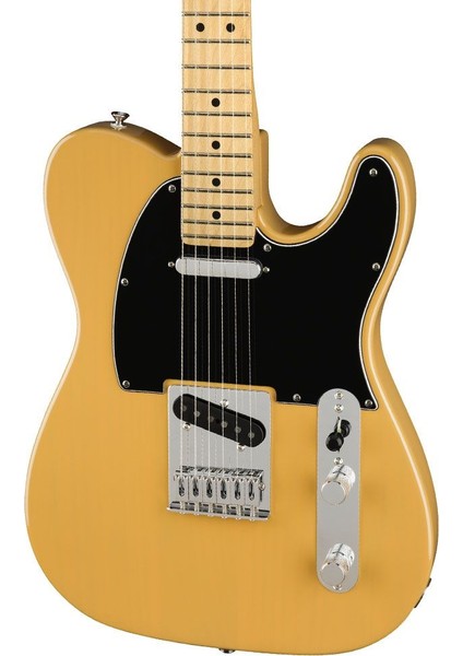 Player Iı Telecaster Chambered Ash Gövde Akçaağaç Klavye Butterscotch Blonde Elektro Gitar