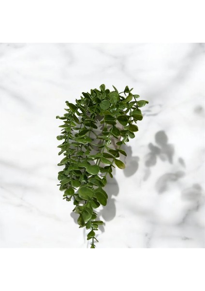 Yapay Çiçek Plastik Saksıda Yeşil Okaliptus Sarkıtı Dere Taşı Detaylı