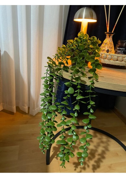 Yapay Çiçek Siyah Plastik Saksıda Yoğun Yapraklı Koyu Yeşil Okaliptus Sarkıt