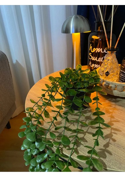 Yapay Çiçek Siyah Plastik Saksıda Yoğun Yapraklı Koyu Yeşil Okaliptus Sarkıt modelleri