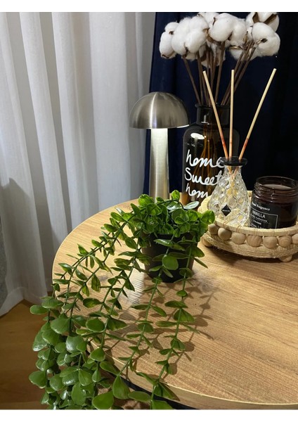 Yapay Çiçek Siyah Plastik Saksıda Yoğun Yapraklı Koyu Yeşil Okaliptus Sarkıt fırsatları