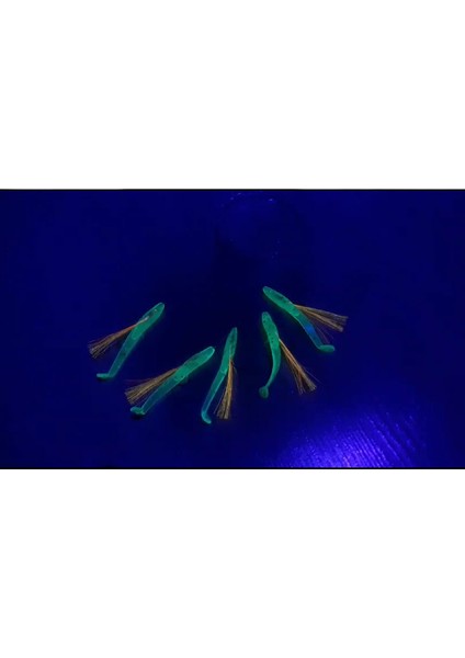 Silikon At Çek Takımı (2 Ad) Silikon Balıklı Çapari 5,5 cm Fıstık