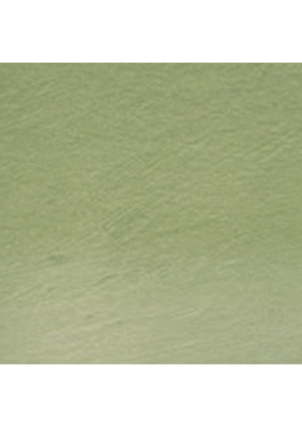 Tinted Charcoal Pencil Green Moss (TC15)