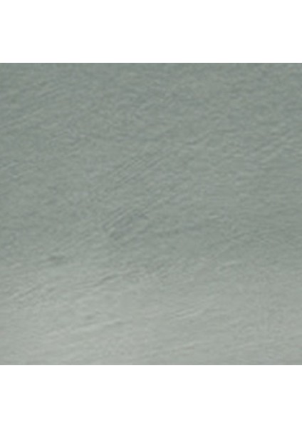 Tinted Charcoal Pencil Forest Pine