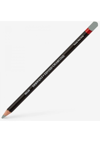Tinted Charcoal Pencil Forest Pine
