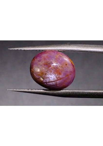 7.71 ct 11.3x9.5 mm Oval Natural Star Sapphire