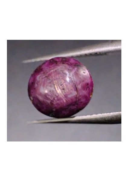 7.36 ct 10.5x9.7 mm Oval Natural Star Sapphire