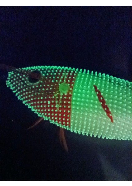 3028 Toto Zogga 8 cm Renk: 08 Deri Kaplama Glow Kalamar Zokası