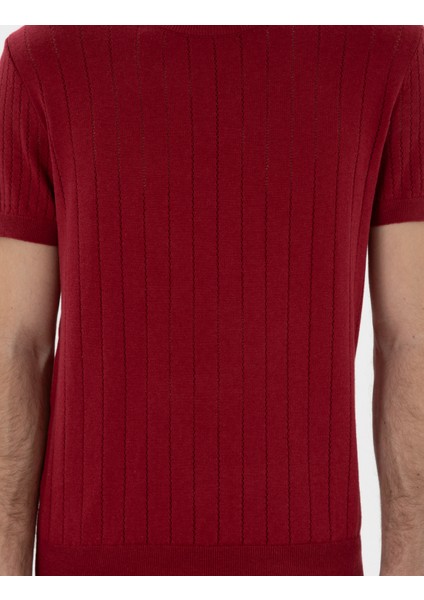 Erkek Nar Çiçeği Keten Karışımlı Regular Fit Bisiklet Yaka Triko Tişört 50305992-VR239