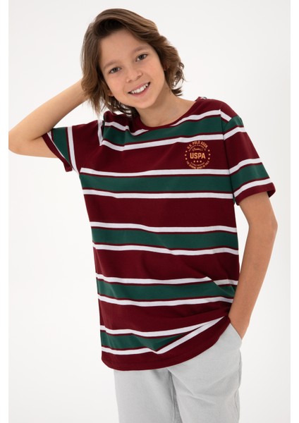 Erkek Çocuk Bordo Tişört Basic 50295559-VR014