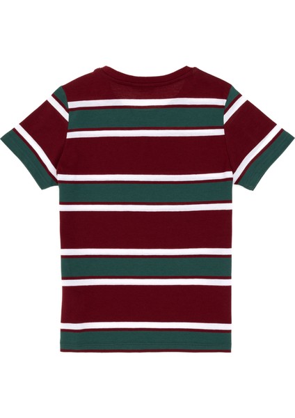 Erkek Çocuk Bordo Tişört Basic 50295559-VR014 fırsatları