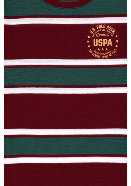 Erkek Çocuk Bordo Tişört Basic 50295559-VR014 indirimleri