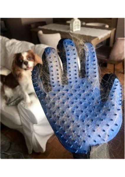 Köpek Kedi Saç Tüy Toplama Temizleme Eldiveni Yapışkanlı Tarama