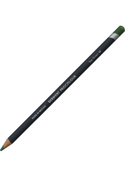 Procolour Pencil Sap Green
