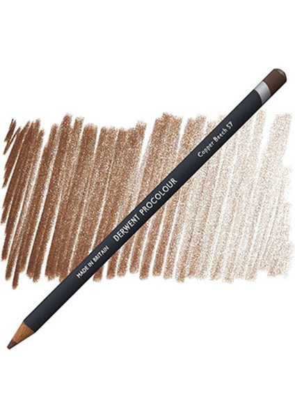 Pencil Copper Beech fiyatları