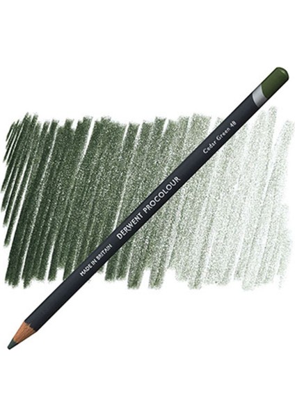 Procolour Pencil Cedar Green