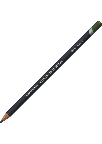 Procolour Pencil Cedar Green
