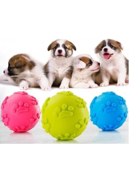 Köpek Isırma Topu Pati Desenli 1291