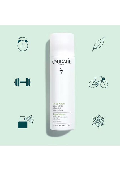 Organik Üzüm Suyu 75 ml modelleri