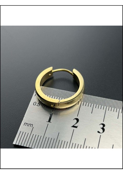 , Duyarlılık Etiketi ve Paslanmaz Halka Küpe 479, Altın Renk, Dış Çap 20mm modelleri