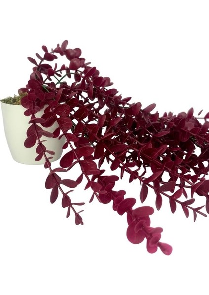 Yapay Çiçek Saksıda Sarkan Şimşir Bordo Okaliptus Yapay Sarmaşık Pastel 60CM