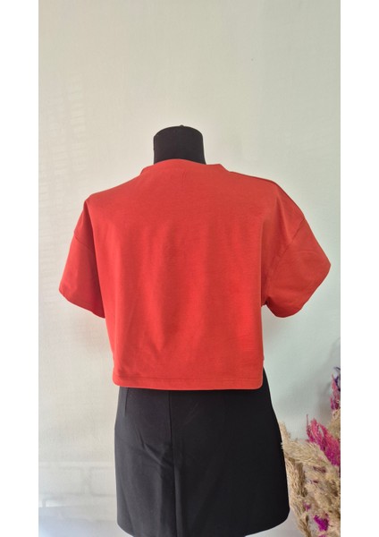 Nakışlı Crop T-Shirt fiyatları