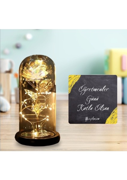 Sevgiliye Hediye Özel Hediye Dekoratif Fanus Hediyelik