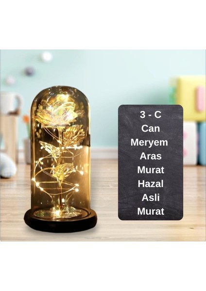 Sevgiliye Hediye Özel Hediye Dekoratif Fanus Hediyelik