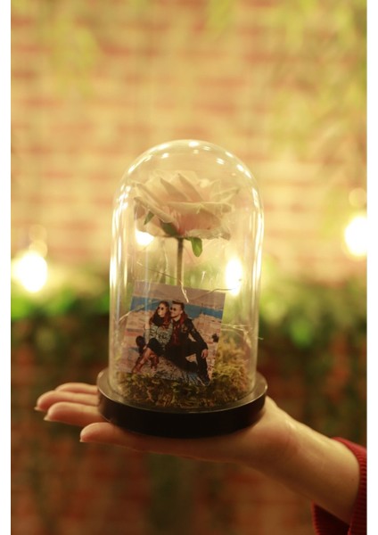 Ev Dekor Ofis Dekor Masa Dekor Fanus