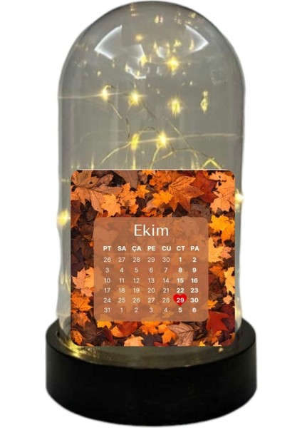 Doğum Günü Hediyesi Fanus Yıl Dönümü Hediyelik