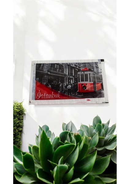 Tekli Islak Mendil 10CM*6CM 100 Adet