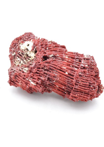 Hakiki Doğal Kırmızı Mercan Kaya Parçası 114 Gram fiyatları