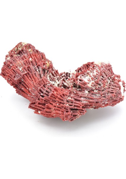 Hakiki Doğal Kırmızı Mercan Kaya Parçası 114 Gram fırsatları