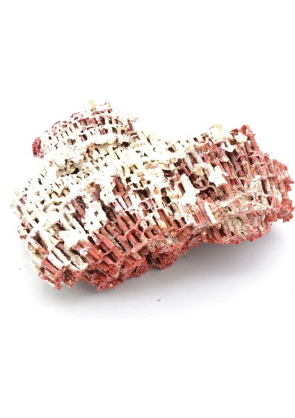 Hakiki Doğal Kırmızı Mercan Kaya Parçası 96 Gram