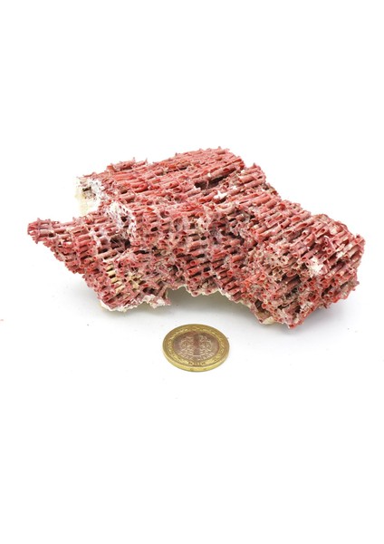 Hakiki Doğal Kırmızı Mercan Kaya Parçası 96 Gram