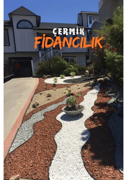 Beyaz Dolomit Taş 5 kg 1-2 cm Çakıl Taşı Bahçe Peysaj Süs Taşı modelleri