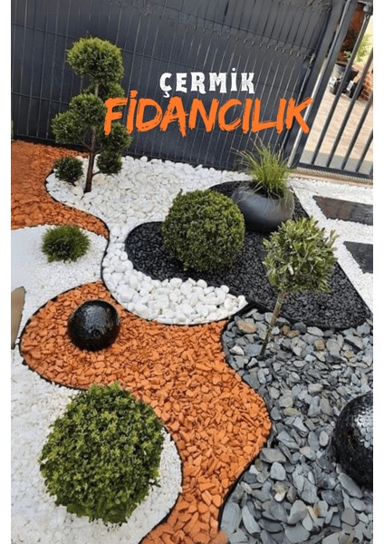 Beyaz Dolomit Taş 5 kg 1-2 cm Çakıl Taşı Bahçe Peysaj Süs Taşı fırsatları