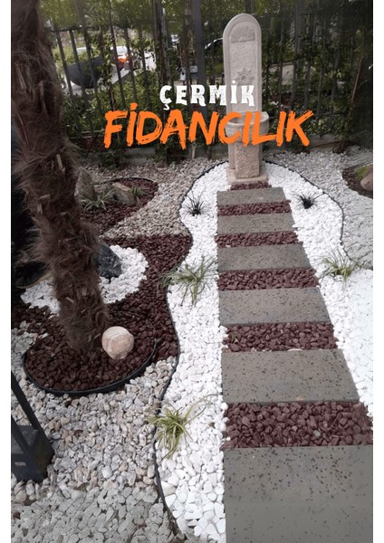 Beyaz Dolomit Taş 5 kg 1-2 cm Çakıl Taşı Bahçe Peysaj Süs Taşı indirimleri