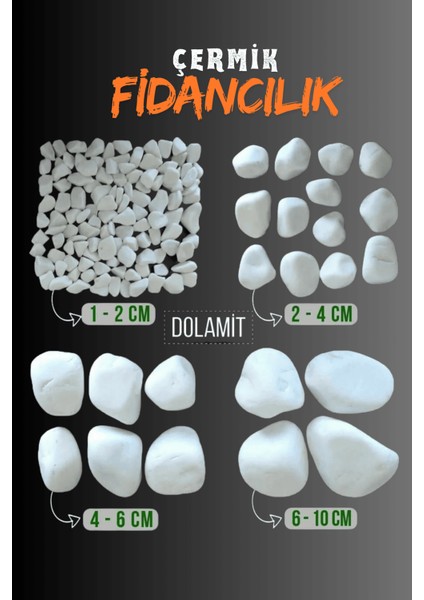 Beyaz Dolomit Taş 5 kg 4-6 cm Çakıl Taşı Bahçe Peysaj Süs Taşı